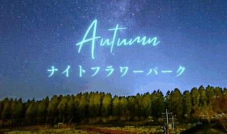 幻想的な夜の花公園へ！『ナイトフラワーパークAutumn』が開催されます│LOG OITA