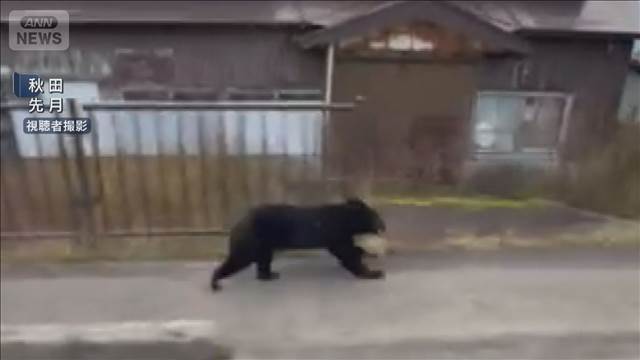 日本郵便　秋田県の一部地域で配達見合わせ　クマ被害受け – Quebee キュエビー