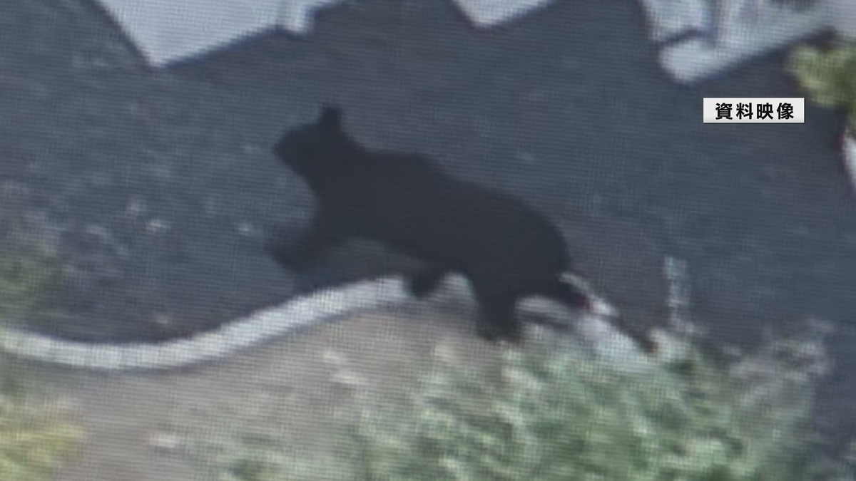 川のやぶ刈り払い　残る部分を11月中に実施へ　山形県がクマの緊急対策会議　県版のパッケージ示す