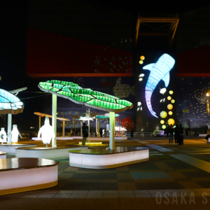 海遊館イルミネーション 2025