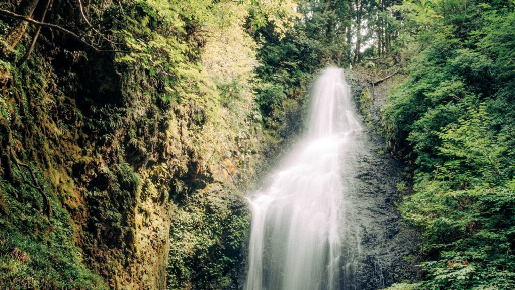 大原、静原エリアで触れる知られざる京都の魅力 | Vogue Japan 大原、静原エリアで触れる知られざる京都の魅力 | Vogue Japan