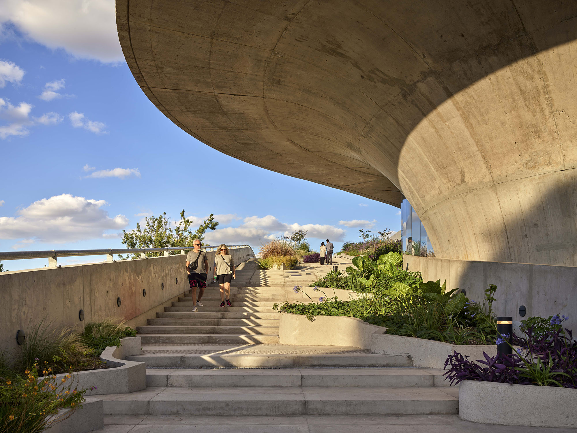 〈OLA Palermo〉ODA