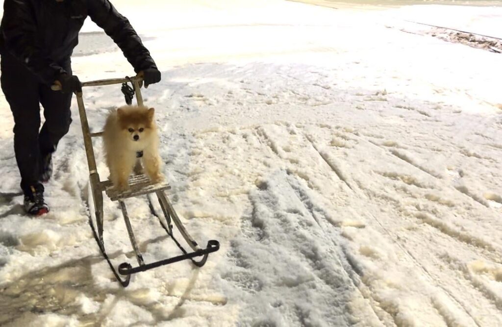 あなたのお気に入りのスパークは何ですか?