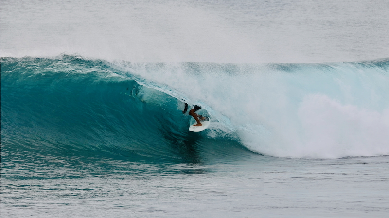 スクリーンショット 2025-11-13 15.26.25