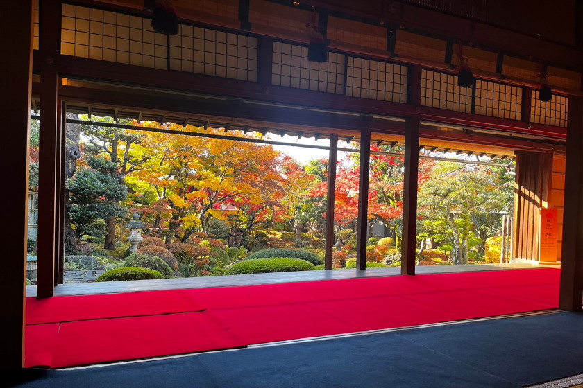 御堂陽願寺 秋の特別拝観 メイン画像