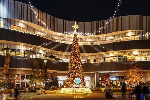 毎日17時の点灯カウント演出も盛り上がる