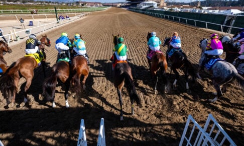 【みやこステークス2025予想】過去10年のレース結果・配当・血統まとめ　傾向分析に使えるお役立ちデータ