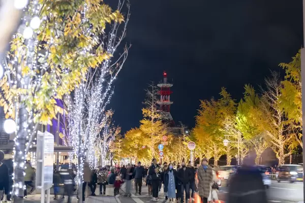 日本一！けやき大通りのイルミネーション