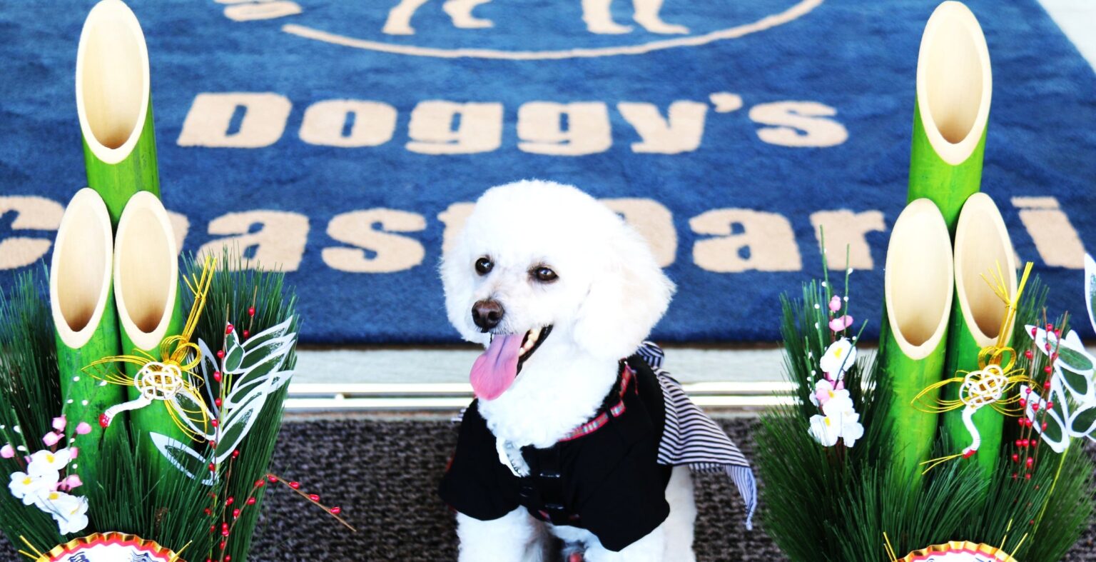 【茨城県：Doggy’s Coast Oarai】愛犬と過ごす贅沢なお正月”オールインクルーシブ＆屋内外ドッグラン付き”愛犬同伴型リゾートホテルでお正月限定イベント開催 | 株式会社IHSのプレスリリース