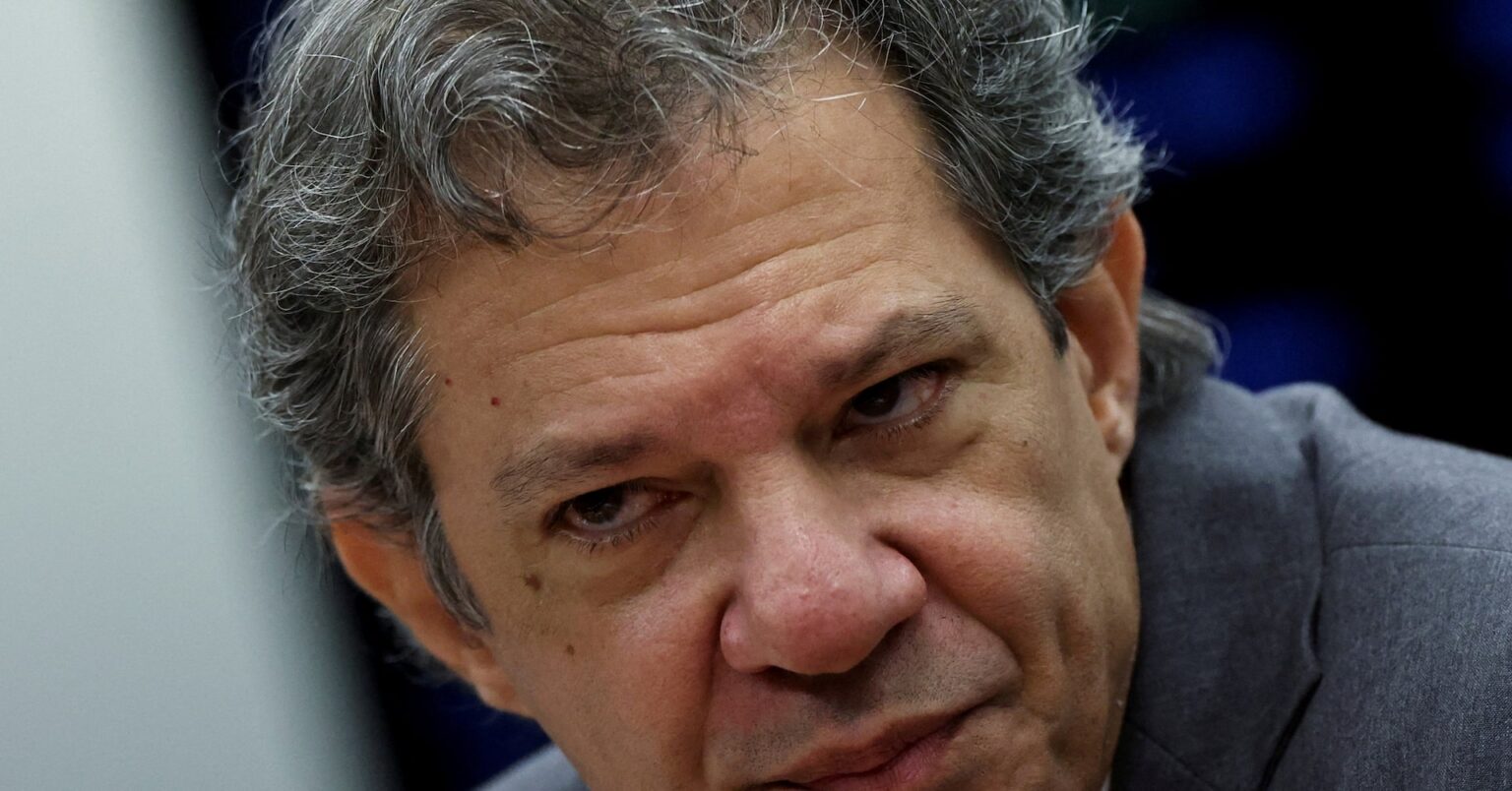 森林基金、初年度で100億ドル確保は「可能」＝ブラジル財務相 | ロイター