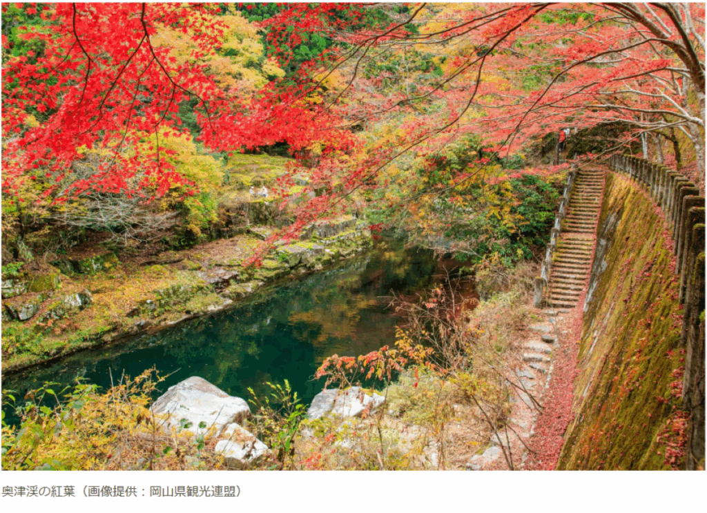 岡山県、温泉と紅葉が彩る秋の旅：「美作三湯」や「後楽園」など名所で多彩な景観を満喫 | HotelBank (ホテルバンク)