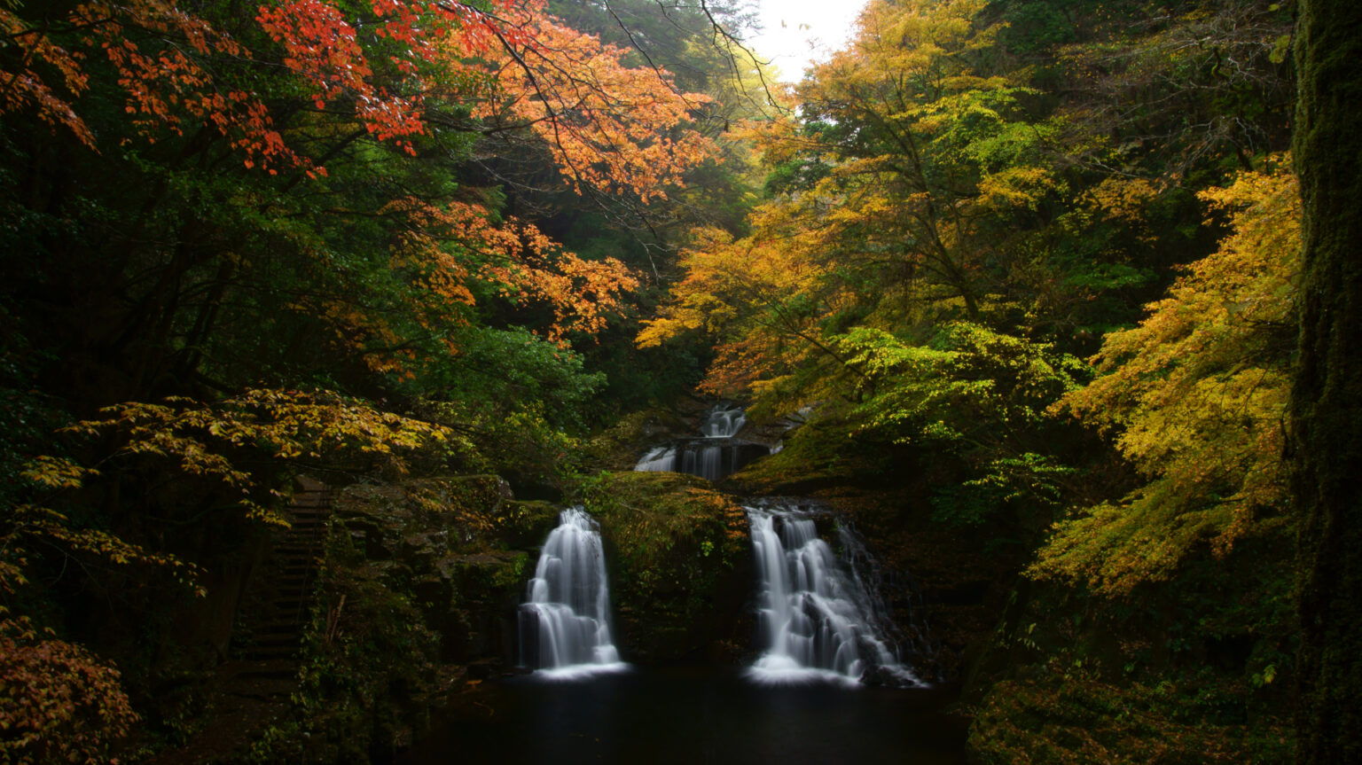 三重県名張市の名勝「赤目四十八滝」で紅葉はじまる。ピークは11月中旬から、幻想的な夜間ライトアップも - トラベル Watch