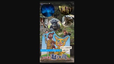 中日若手選手たちが高知県観光へ | ドラ要素＠のもとけ