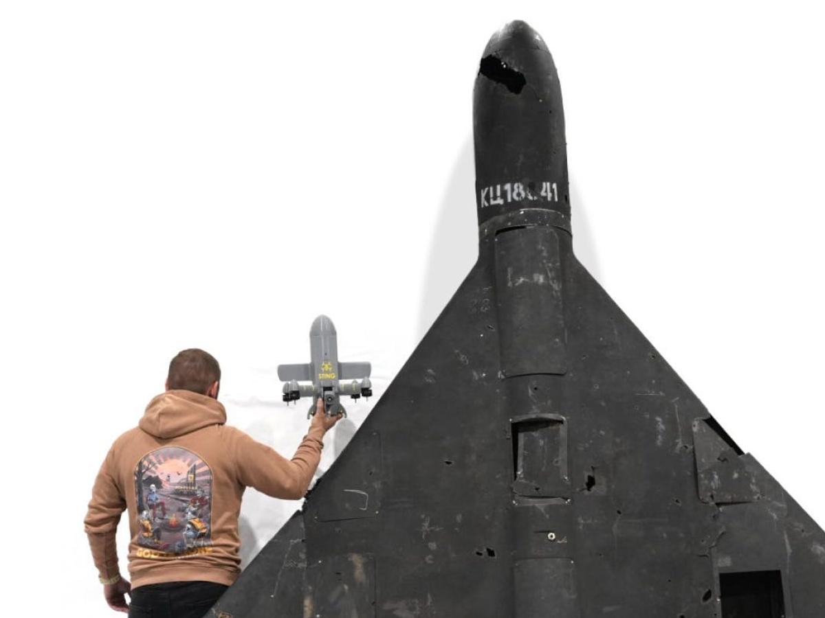 迎撃ドローン「スティング」は、一般的な「シャヘド」よりもはるかに小型だ。