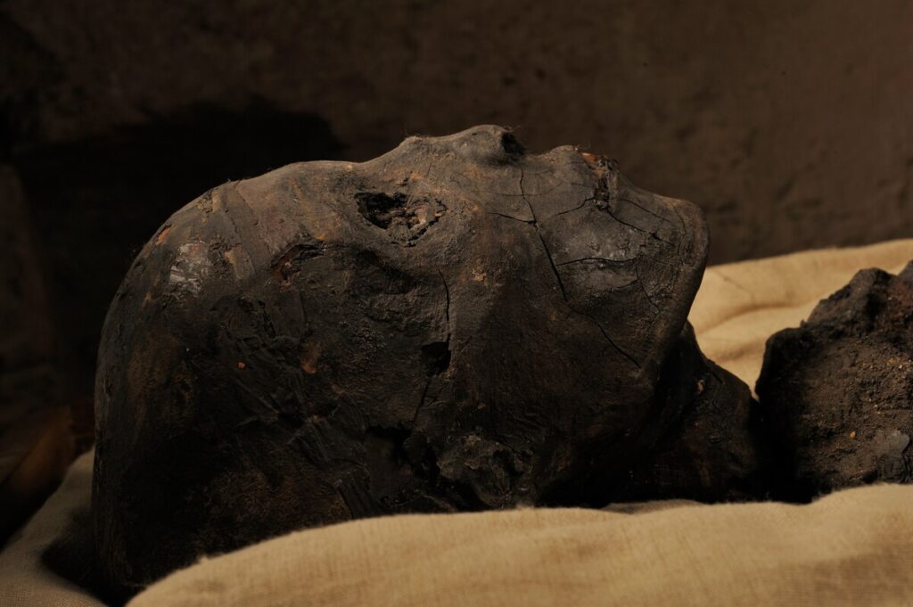 古代エジプトの道具で現代人をミイラに、物議を醸した衝撃の実験 | ナショナル ジオグラフィック日本版サイト