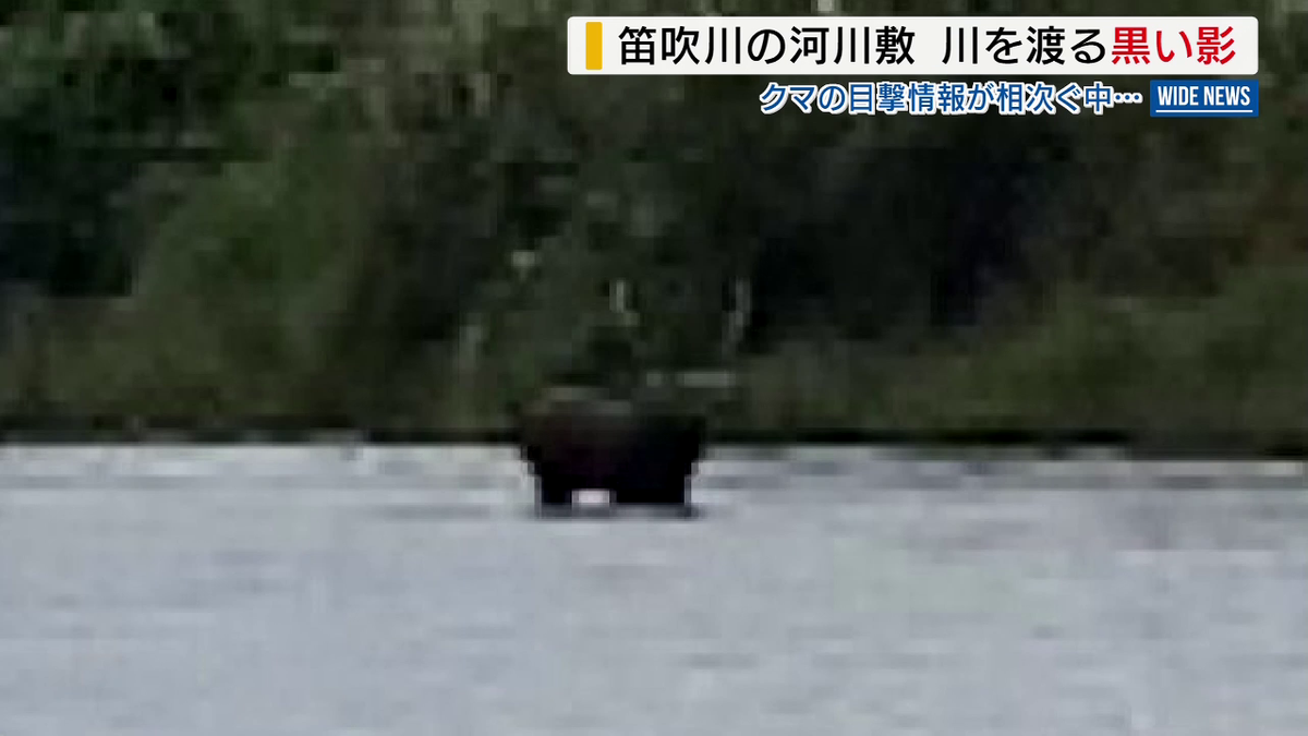 川を渡る“黒い影” 正体は…「クマ」ではなく「シカ」 付近でのクマ目撃情報は見間違いか 山梨・笛吹市