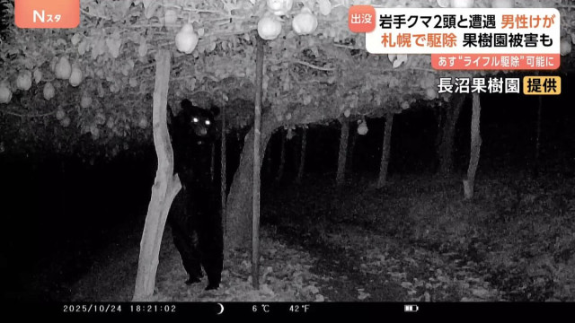 きょうも各地でクマ出没 岩手で犬と散歩中の男性が2頭と遭遇しけが 札幌ではヒグマ駆除 山形の名産品被害に“複雑”な思いも…(TBS NEWS DIG)|dメニューニュース(NTTドコモ) きょうも各地でクマ出没 岩手で犬と散歩中の男性が2頭と遭遇しけが 札幌ではヒグマ駆除 山形の名産品被害に“複雑”な思いも…