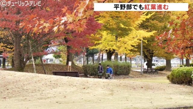 日中の寒暖差大きく平野部の紅葉が見事に 秋を彩る公園の街路樹 富山(チューリップテレビ)|dメニューニュース(NTTドコモ) 日中の寒暖差大きく平野部の紅葉が見事に 秋を彩る公園の街路樹 富山
