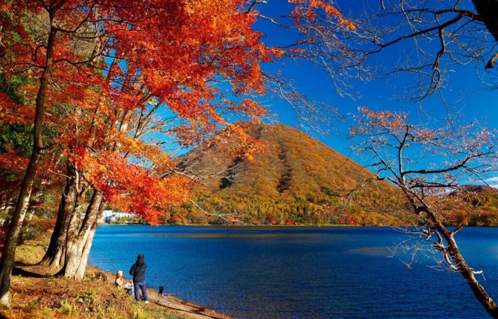 群馬県の榛名湖で撮影された「風景写真」に強烈な違和感　「水面に浮かんでいる物体」に思わず目を疑う | LIMO | くらしとお金の経済メディア