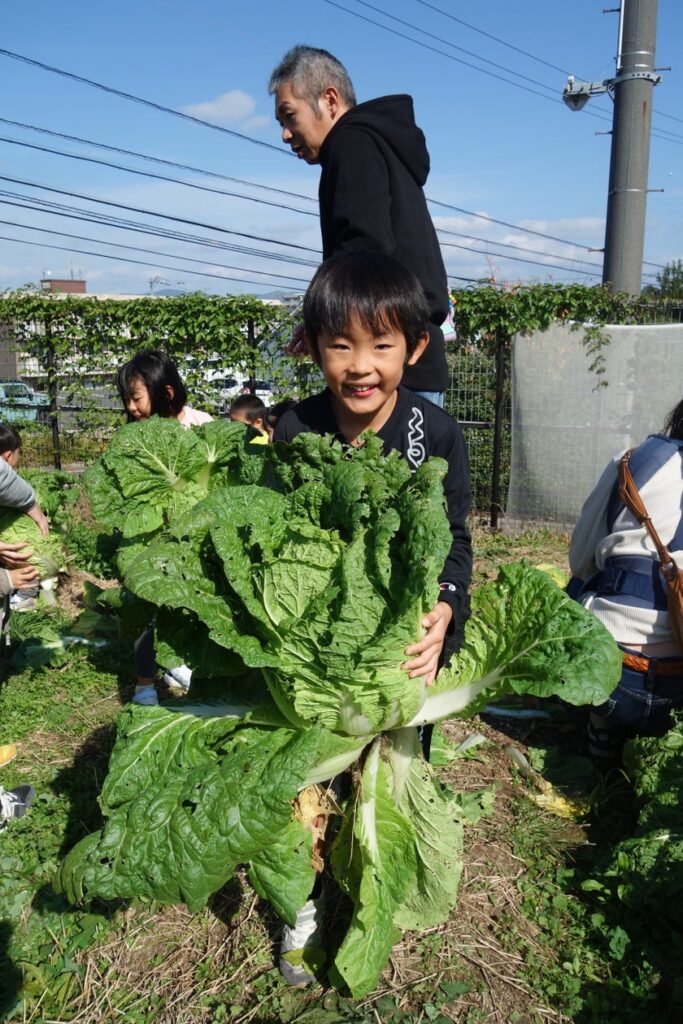 「こっそり畑」親子体験イベントを開催しました | 公立大学法人島根県立大学のプレスリリース