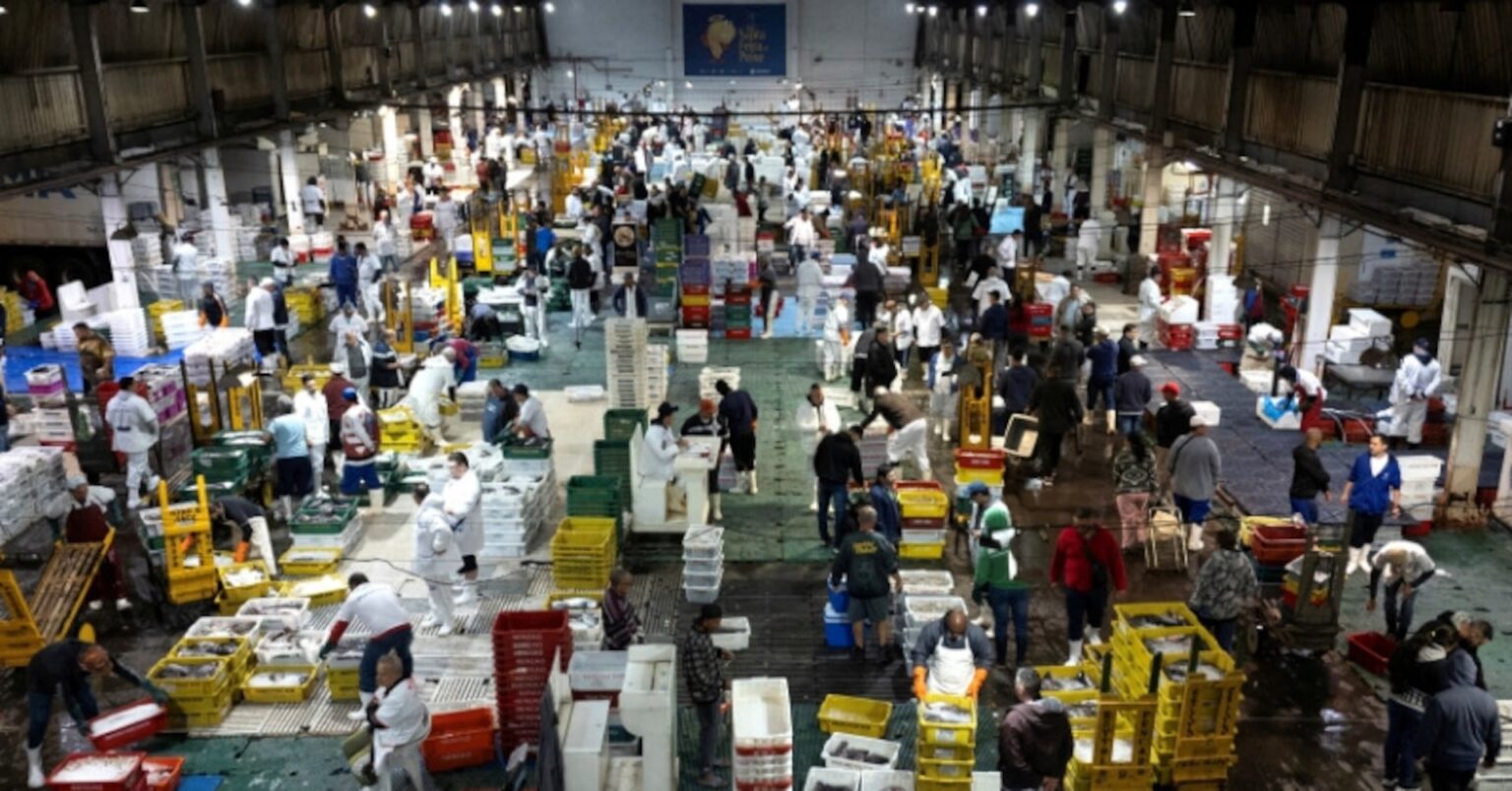 ブラジル、25年のGDP成長率予測を2.2%に下方修正 | ロイター ブラジル、25年のGDP成長率予測を2.2%に下方修正 | ロイター