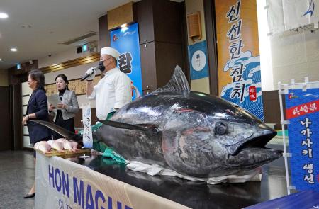 長崎県、韓国にマグロ売り込み 販路拡大目指し、解体ショーも | 全国のニュース | 福井新聞ONLINE