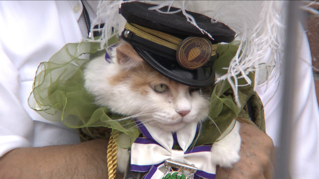 最後は一言「ニャー！」　和歌山電鉄・貴志駅２代目たま駅長「ニタマ」死ぬ