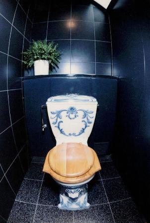 「１億円のトイレ」撤去へ、石川 ふるさと創生で整備 | 全国のニュース | 福井新聞ONLINE
