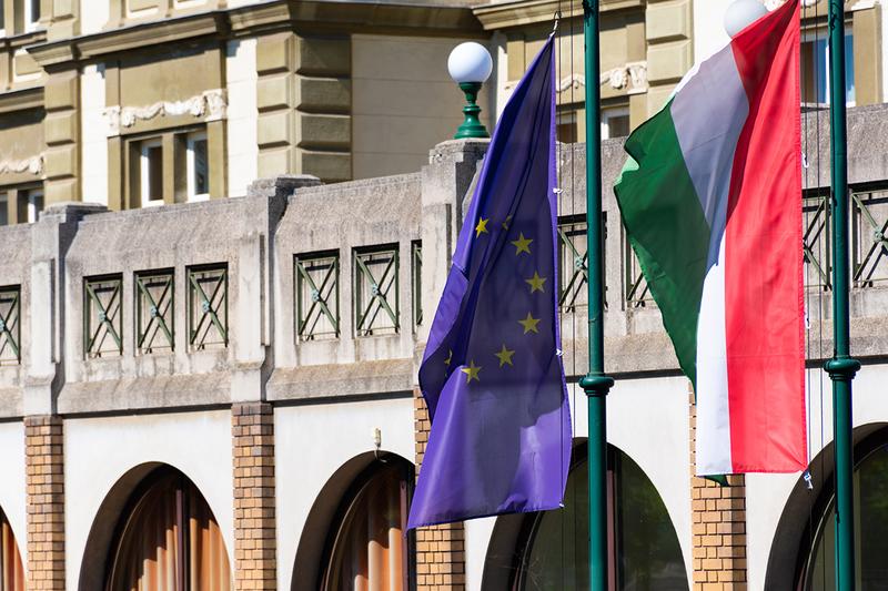 Mehes Daniel/Shutterstock.com