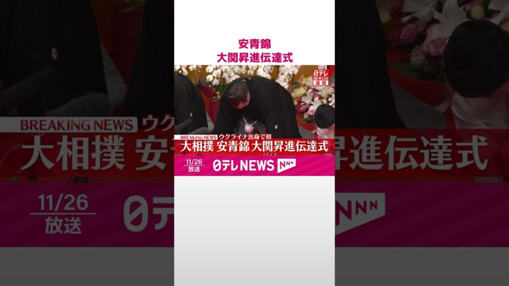 【速報】安青錦  大関昇進伝達式  #shorts