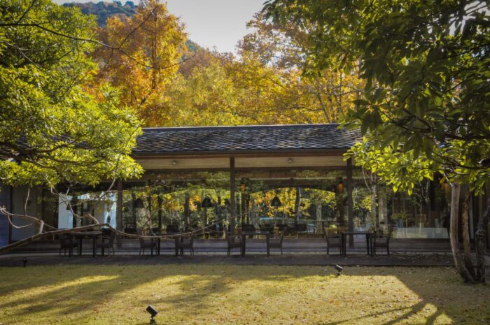 京丹後市・紅葉