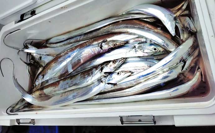 【沖釣り釣果速報】志摩〜鳥羽沖のウタセマダイ釣りで秋の風物詩シマアジ登場！（三重）