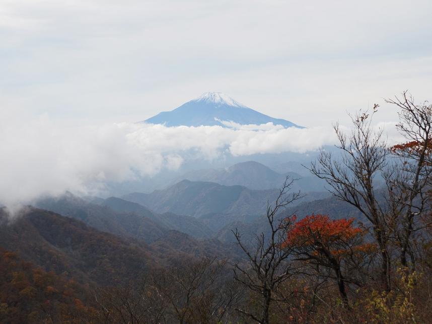 令和7年11月2日塔ノ岳山頂