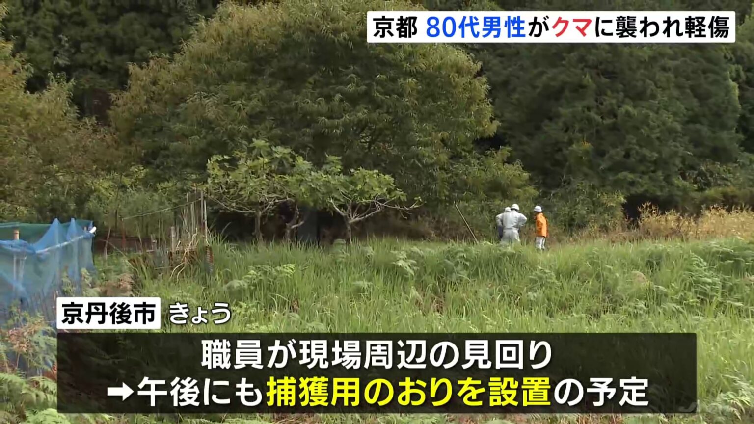 京都府京丹後市でクマに襲われ高齢男性けが 頭や太ももを引っかかれる　嵐山などでもクマ目撃相次ぐ（TBS NEWS DIG Powered by JNN）