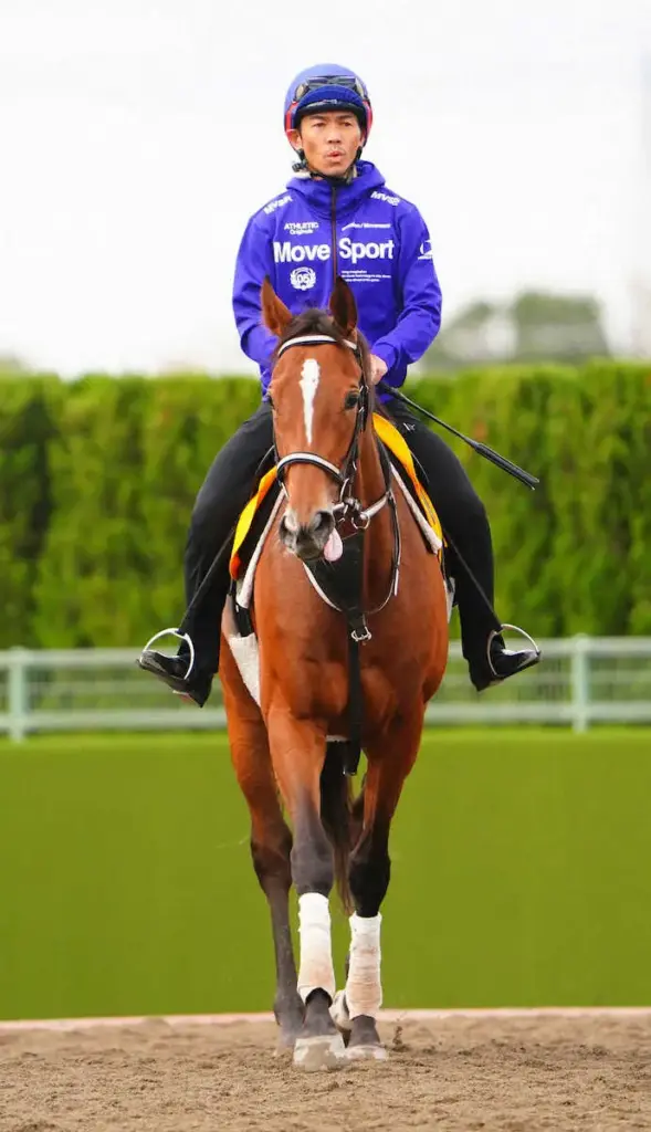 【アルゼンチン共和国杯】4歳牝馬ホーエリート中心　トレンドの臨戦過程にコース実績 - スポニチ Sponichi Annex ギャンブル