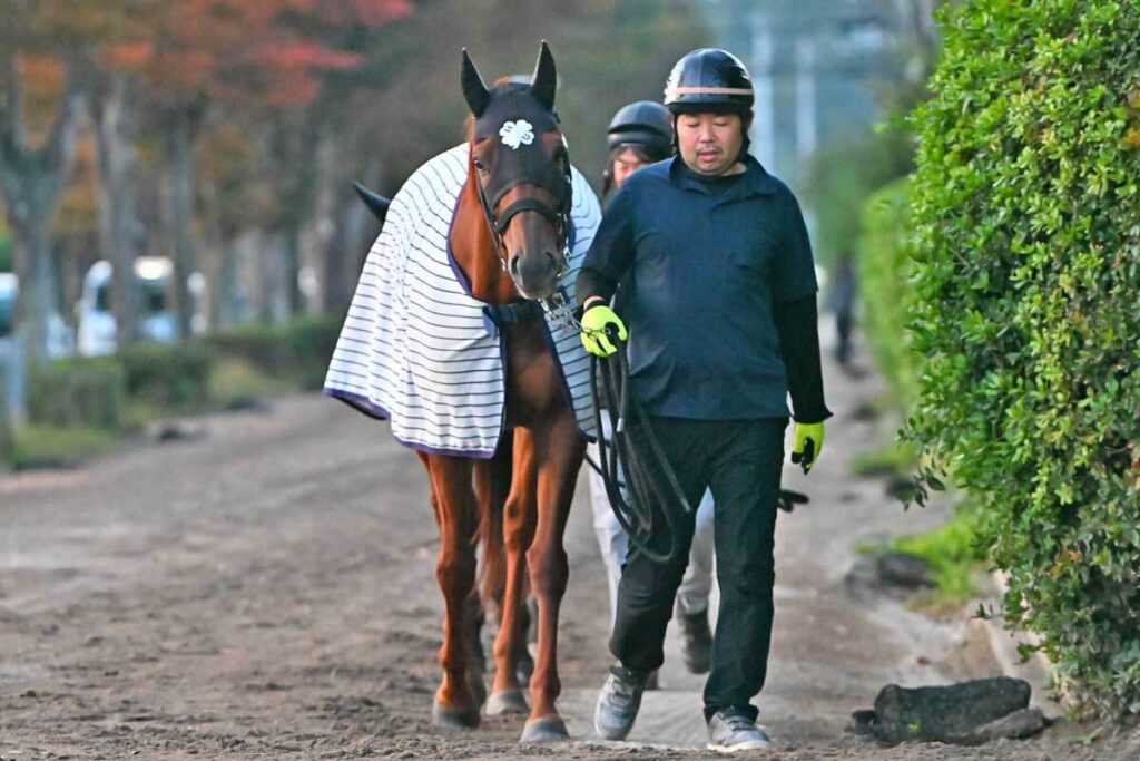 【アルゼンチン共和国杯・先取り予想】前走Vはフロックじゃない！ 陣営も出世を確信ニシノレヴナント「最大の武器」（東スポ競馬） - Yahoo!ニュース