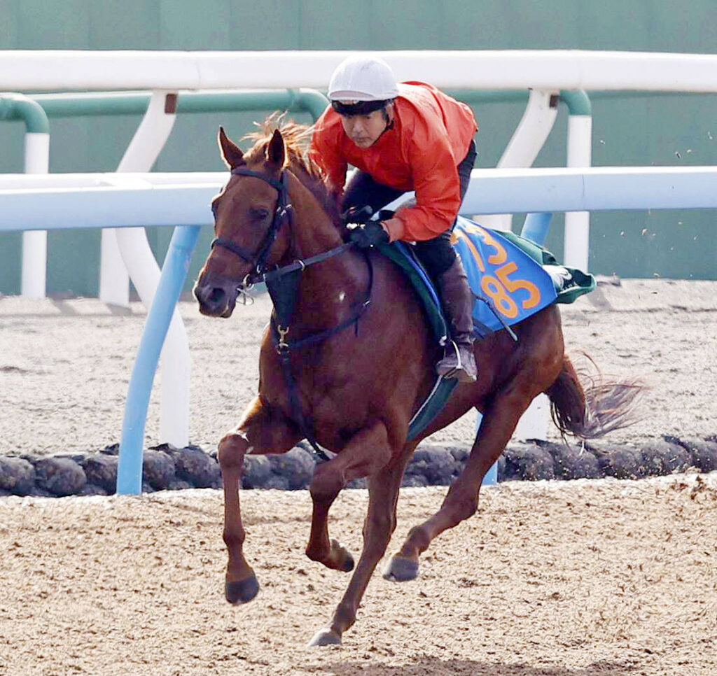 ニシノレヴナント