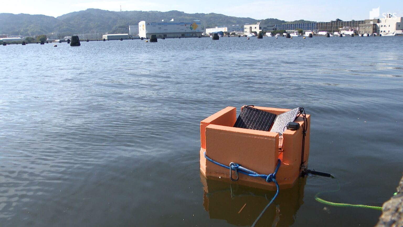 南海トラフ地震の津波を"より早く"検知へ 10万円のローコスト「GPS波浪計」開発進む=静岡【わたしの防災】（静岡放送（SBS）） - Yahoo!ニュース