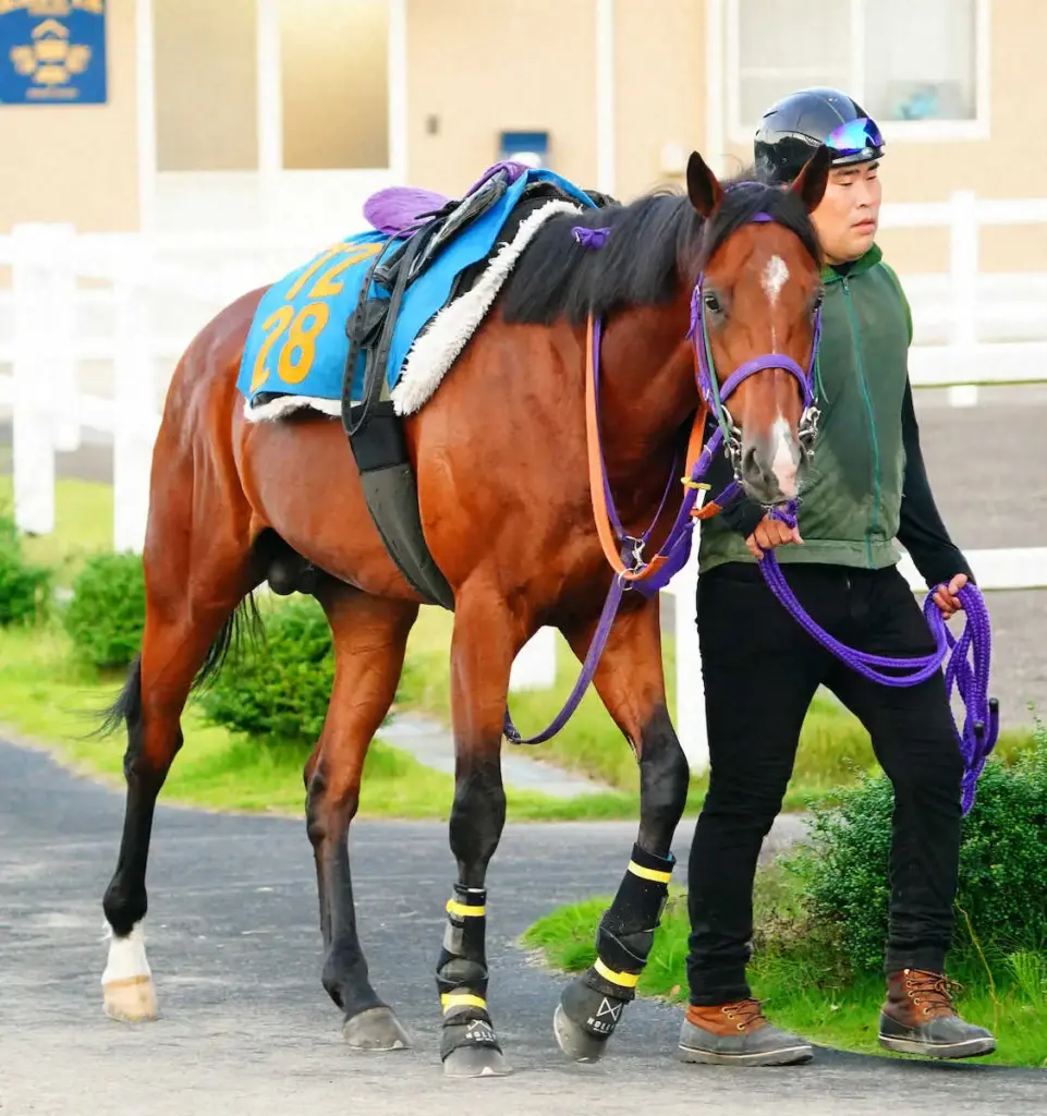 【アルゼンチン共和国杯】ディマイザキッド　重賞初Vへ　清水英師「凄くいい　身のこなしからして違う」 - スポニチ Sponichi Annex ギャンブル