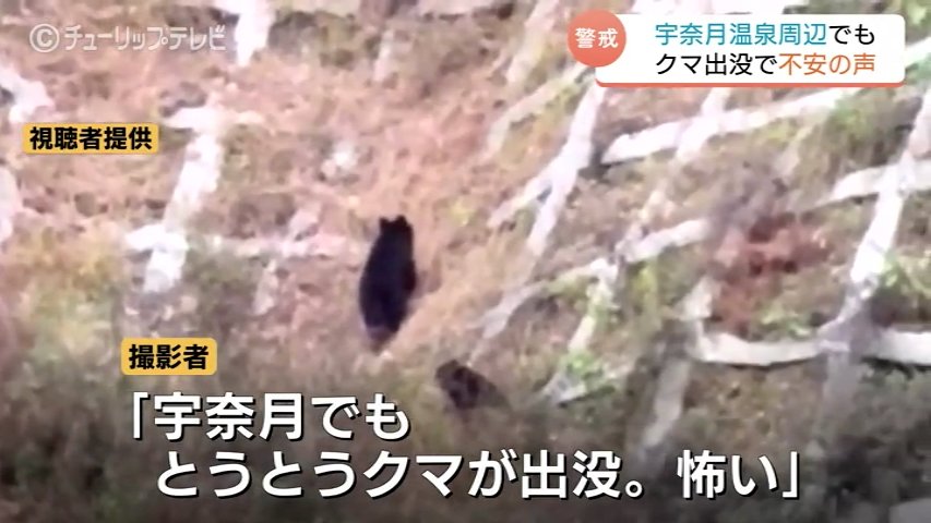 クマ出没相次ぐ 富山を代表する温泉街周辺に2頭のクマ...動画撮影者「とうとうクマ出没 怖い」富山県・黒部市（チューリップテレビ） - Yahoo!ニュース
