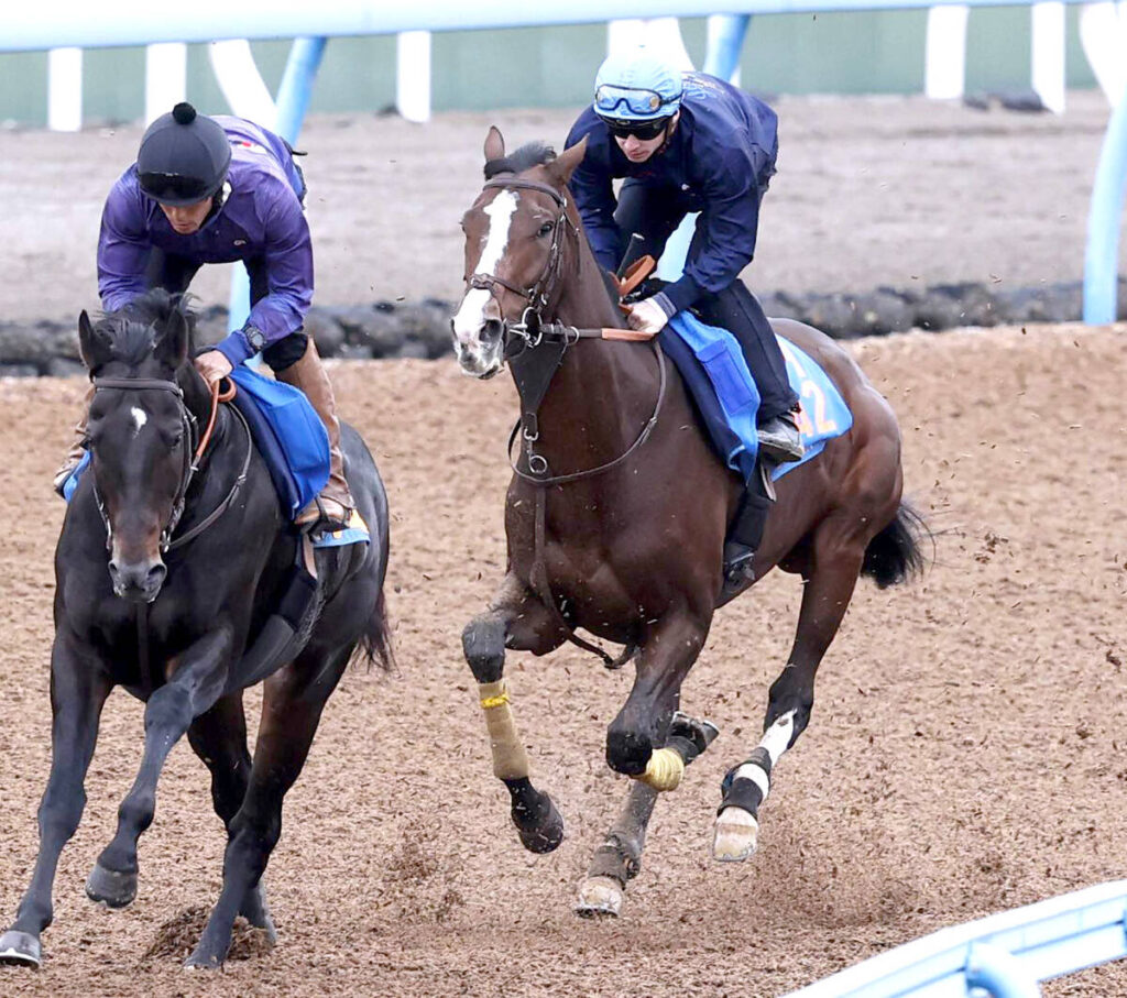 Wコースで追い切ったローシャムパーク（右、馬上はアレクシ・プーシャン騎手）、左はウェイワードアクト（カメラ・荒牧　徹）