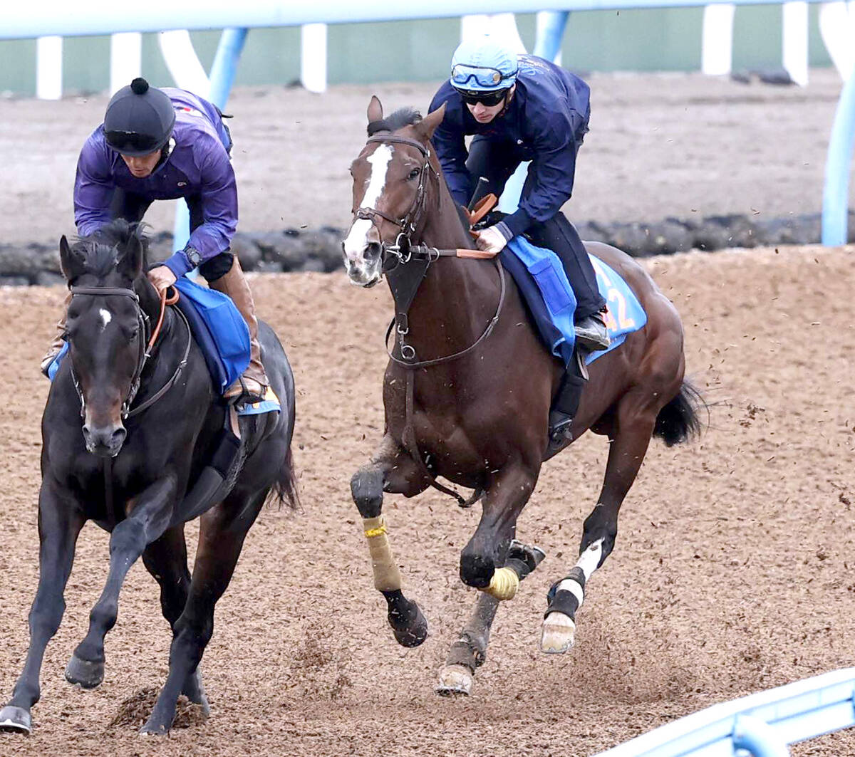 Wコースで追い切ったローシャムパーク（右、馬上はアレクシ・プーシャン騎手）、左はウェイワードアクト（カメラ・荒牧　徹）