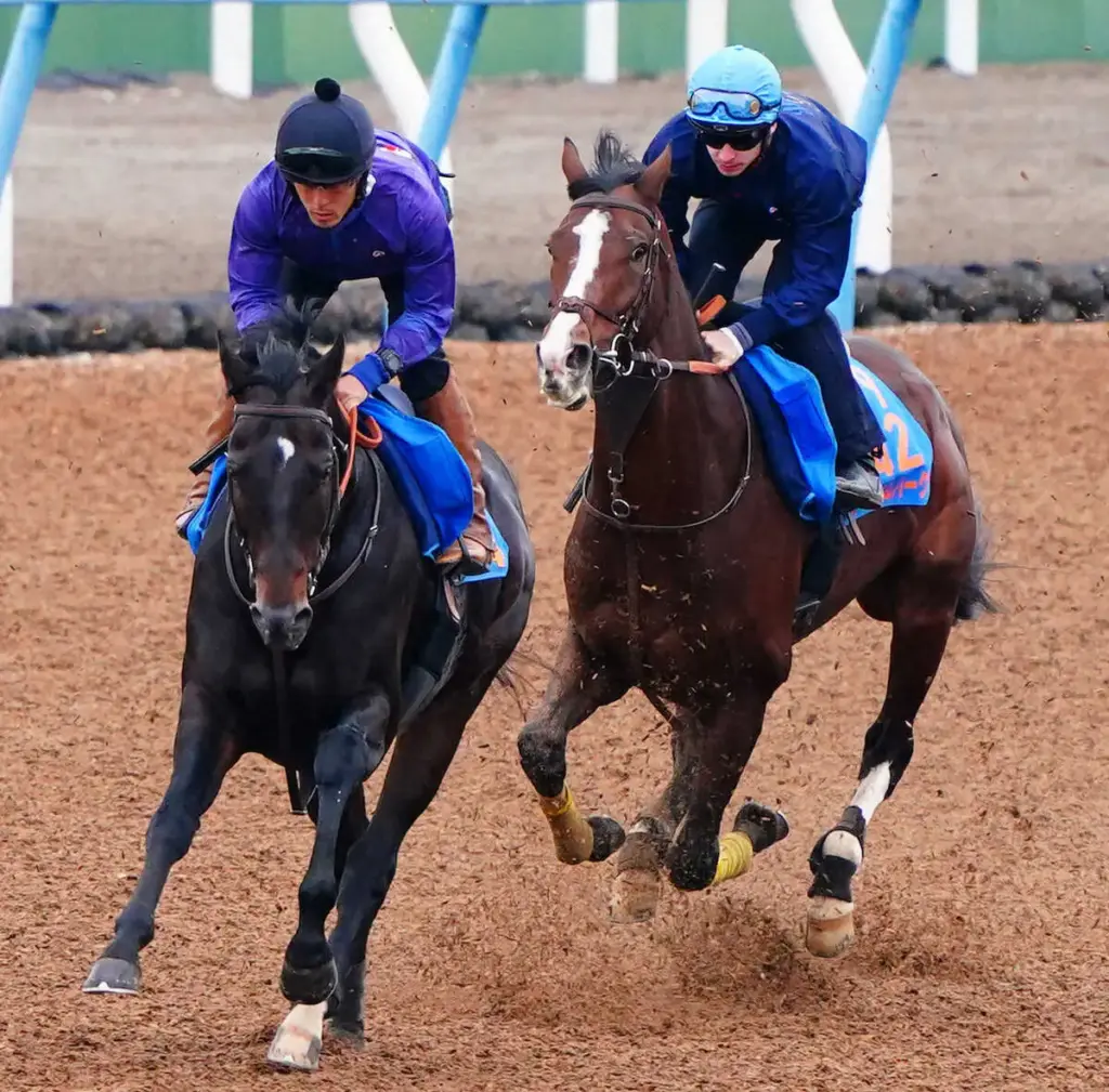 【アルゼンチン共和国杯】ローシャムパーク 初コンビのプーシャン背に伸び上々! – スポニチ Sponichi Annex ギャンブル 【アルゼンチン共和国杯】ローシャムパーク 初コンビのプーシャン背に伸び上々! - スポニチ Sponichi Annex ギャンブル