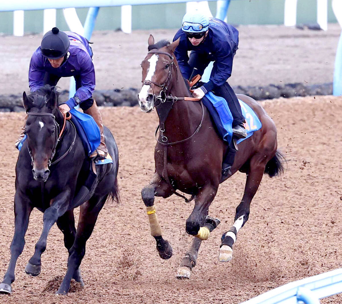 ローシャムパーク(右)