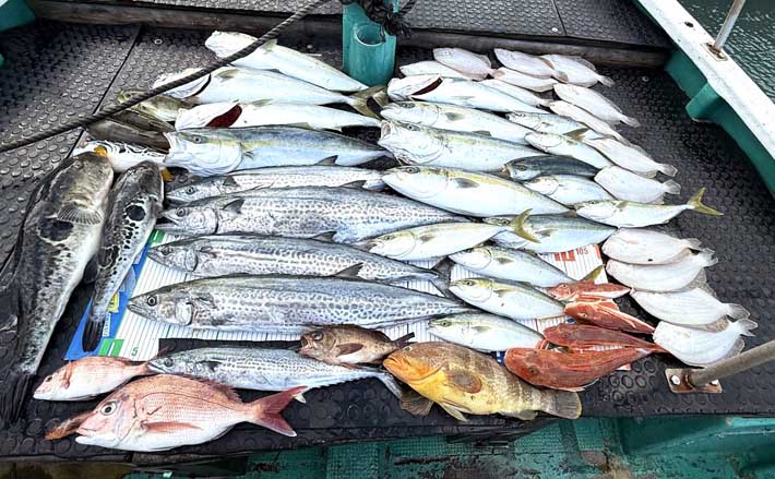 【沖のルアー釣果速報】鳥羽沖のキャスティングゲームでサワラ93cm含む青物が大連発!(三重) | TSURINEWS 【沖のルアー釣果速報】鳥羽沖のキャスティングゲームでサワラ93cm含む青物が大連発!(三重)