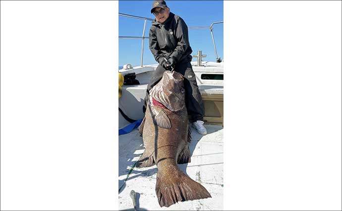 【沖のルアー釣果速報】鳥羽沖のキャスティングゲームでサワラ93cm含む青物が大連発！（三重）