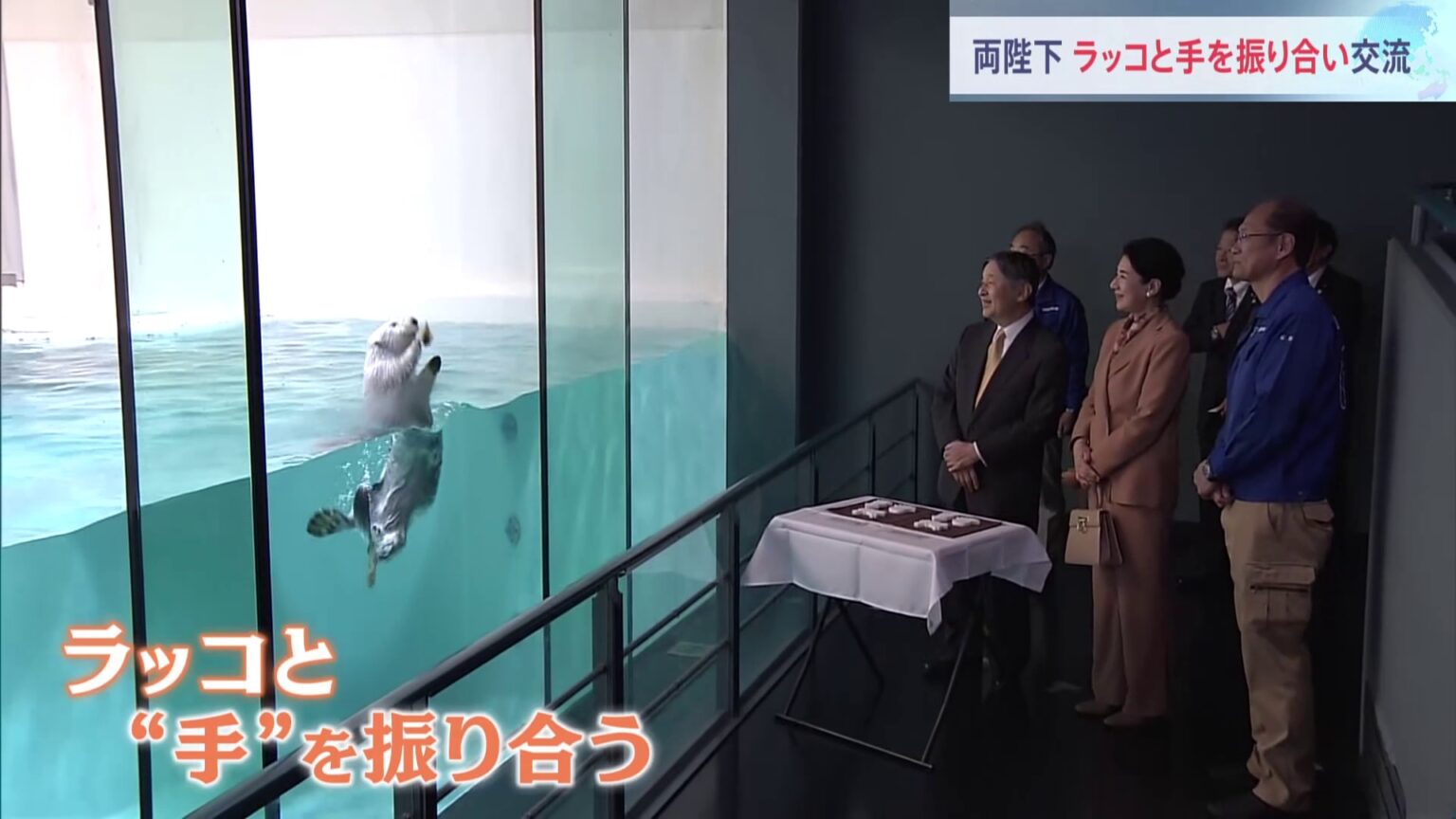 天皇皇后両陛下　ラッコと笑顔で“手”を振り合い…名物「イカミミジャンプ」成功で笑いながら拍手も　9日は「海づくり大会」出席　三重県（TBS NEWS DIG Powered by JNN）
