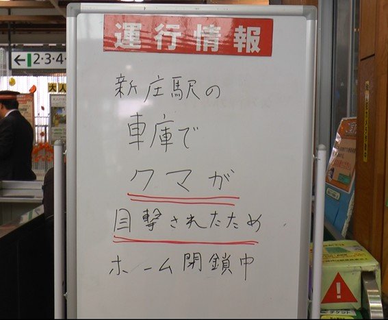 【速報 現場画像あり】新庄駅に出没のクマ 箱ワナで捕獲 山形新幹線は1本区間運休も通常運行に（テレビユー山形） - Yahoo!ニュース