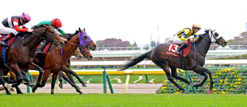 逃げ切ったミステリーウェイ（右、カメラ・荒牧　徹）