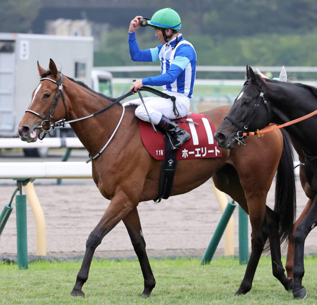 ６着のホーエリート（カメラ・荒牧　徹）